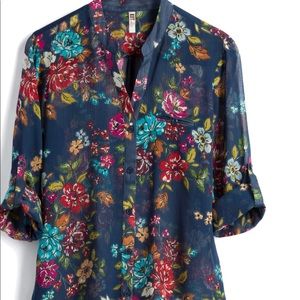 Stitch fix kut from the Kloth sheer top